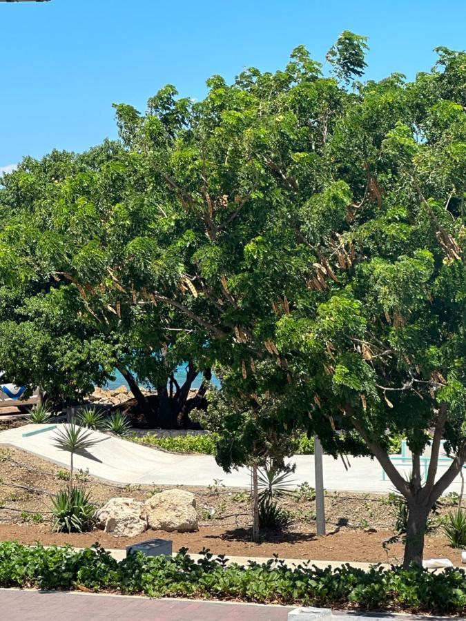 Whitehouse Boulevard, Close To Mambo Beach And City Centre Apartment วิลเลมสตัด ภายนอก รูปภาพ